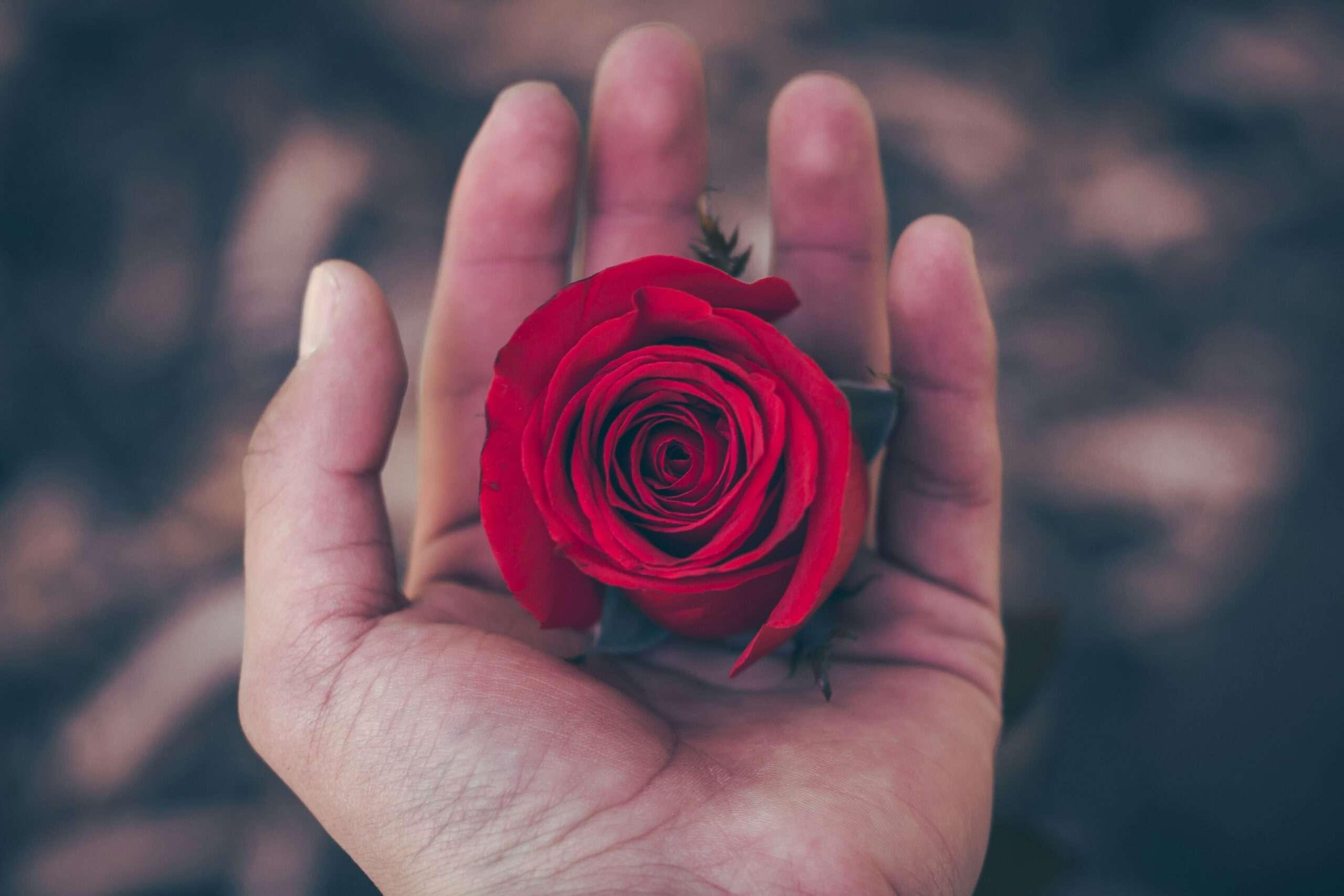 Fall in Love with Yourself