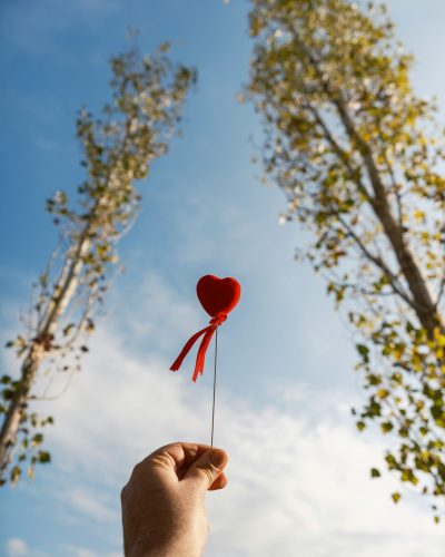 engin-akyurt-xaE_EMT4tqg-unsplash